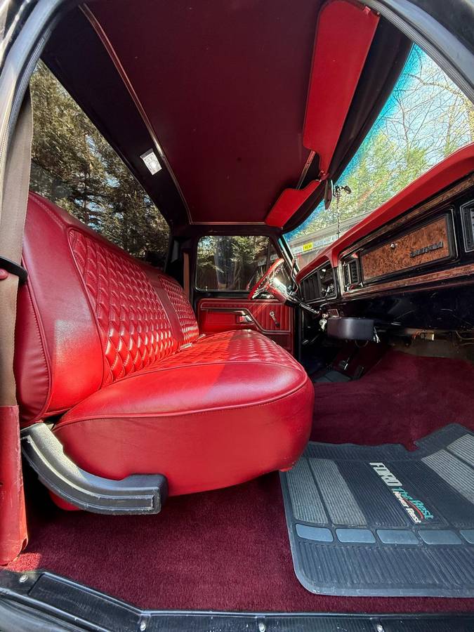 Ford-f100-pickup-1977-black-14
