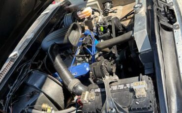 Ford-f100-pickup-1977-black-17