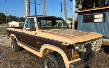 Ford-f100-pickup-1982-brown-1