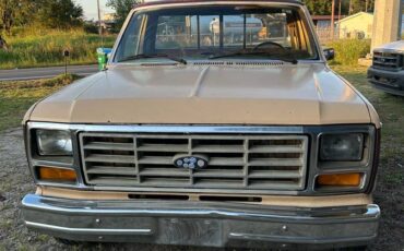 Ford-f100-pickup-1982-brown-2