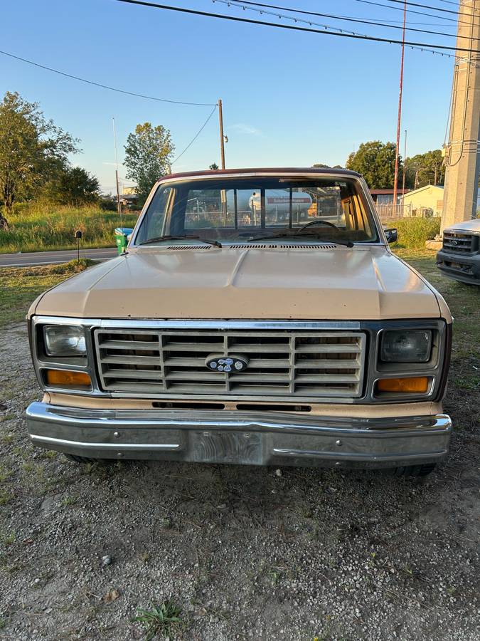 Ford-f100-pickup-1982-brown-2