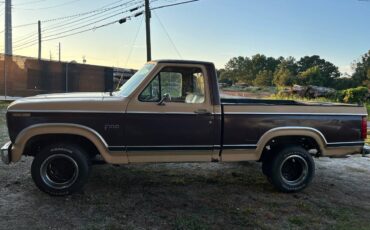 Ford-f100-pickup-1982-brown-3