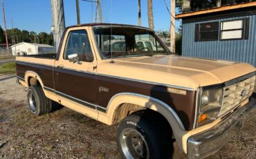 Ford-f100-pickup-1982-brown