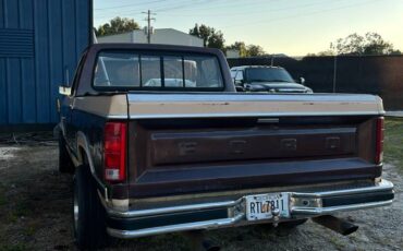 Ford-f100-pickup-1982-brown-5