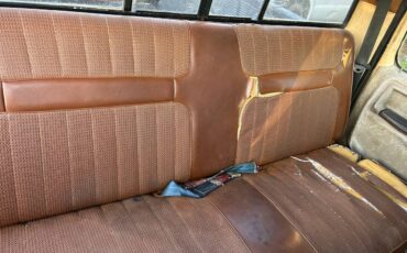 Ford-f100-pickup-1982-brown-8