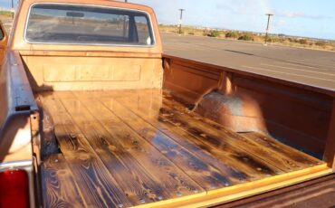 Ford-f100-ranger-xlt-swb-1975-brown-4