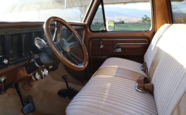 Ford-f100-ranger-xlt-swb-1975-brown-5