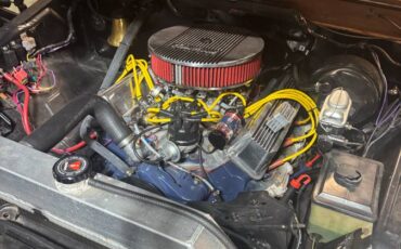 Ford-f100-ranger-xlt-swb-1975-brown-8