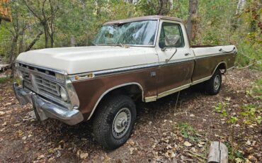 Ford-f100-xlt-ranger-8-bed-1975-brown-10