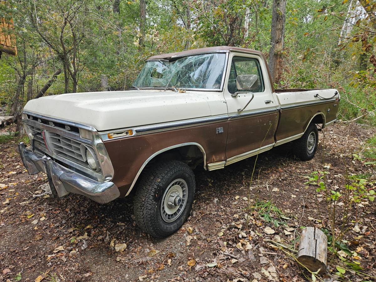 Ford-f100-xlt-ranger-8-bed-1975-brown-10