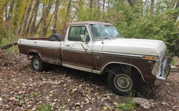 Ford-f100-xlt-ranger-8-bed-1975-brown-11