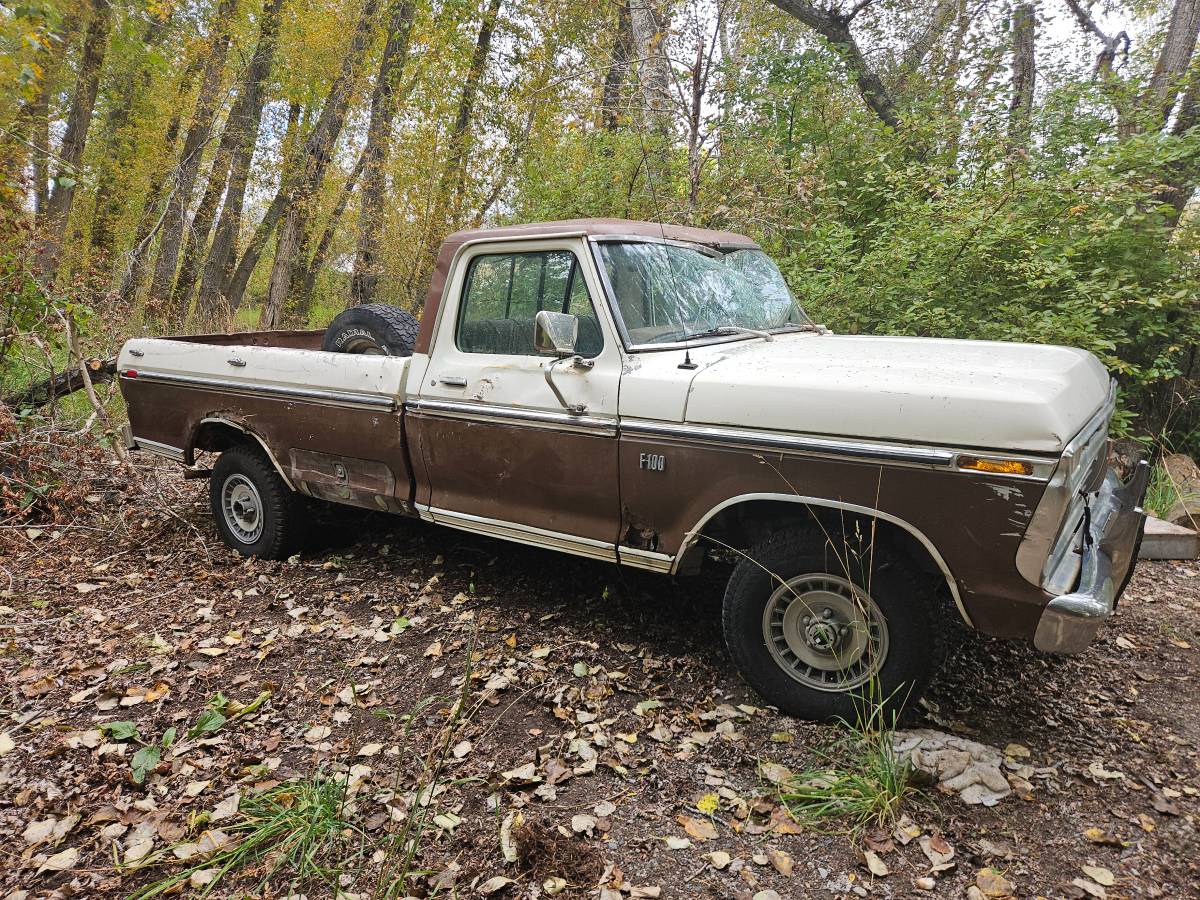 Ford-f100-xlt-ranger-8-bed-1975-brown-11