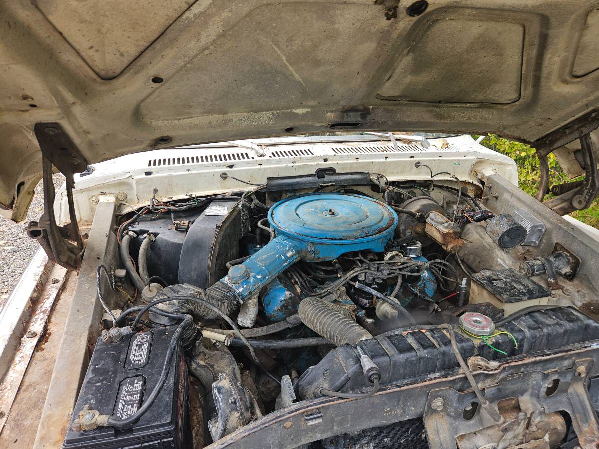 Ford-f100-xlt-ranger-8-bed-1975-brown-5