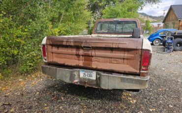 Ford-f100-xlt-ranger-8-bed-1975-brown-6