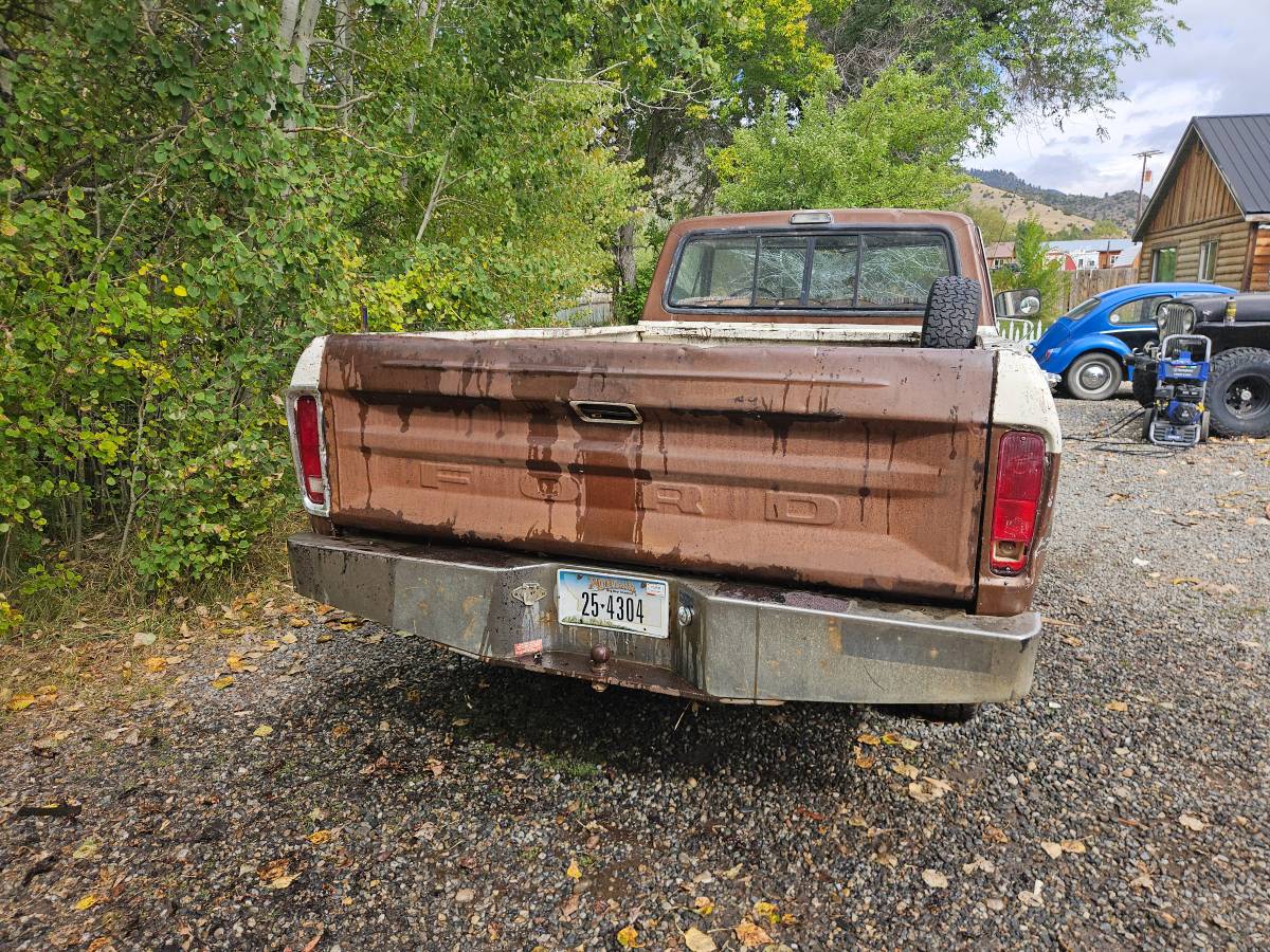 Ford-f100-xlt-ranger-8-bed-1975-brown-6
