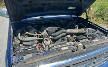 Ford-f150-1995-blue-4