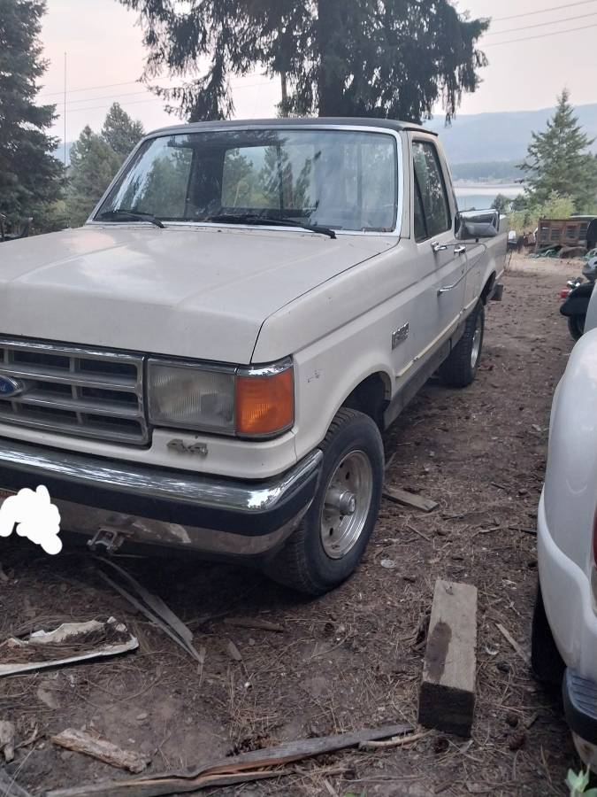 Ford-f150-4x4-1988-white-1