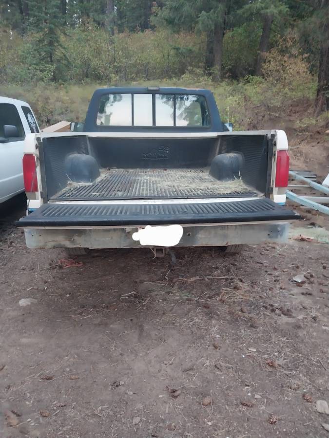 Ford-f150-4x4-1988-white-2