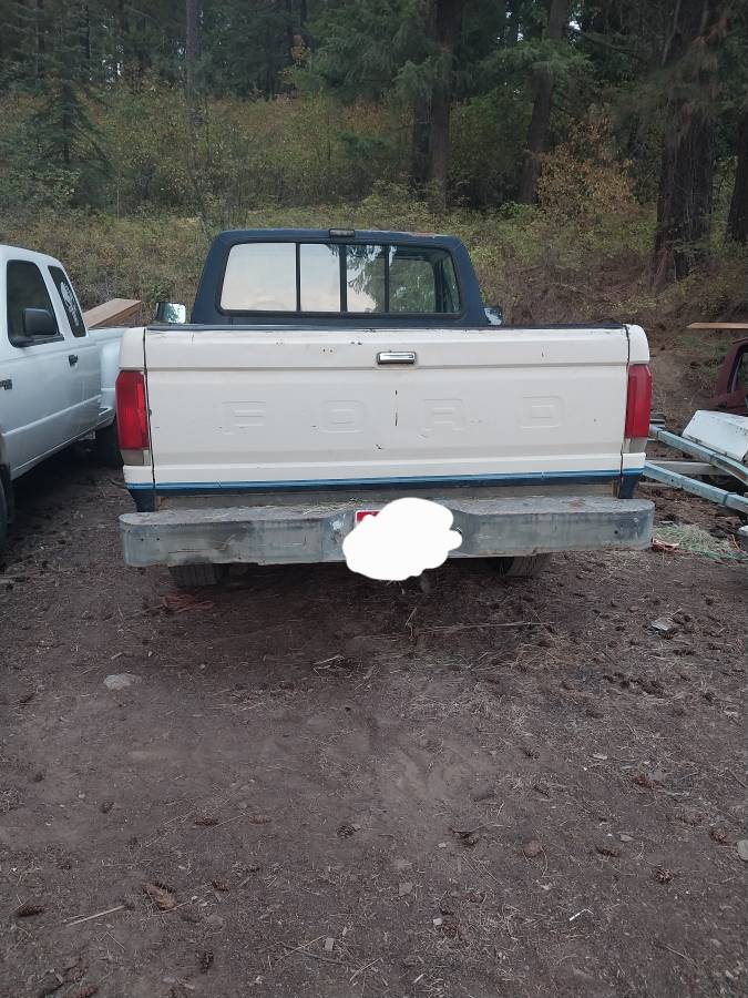 Ford-f150-4x4-1988-white-3