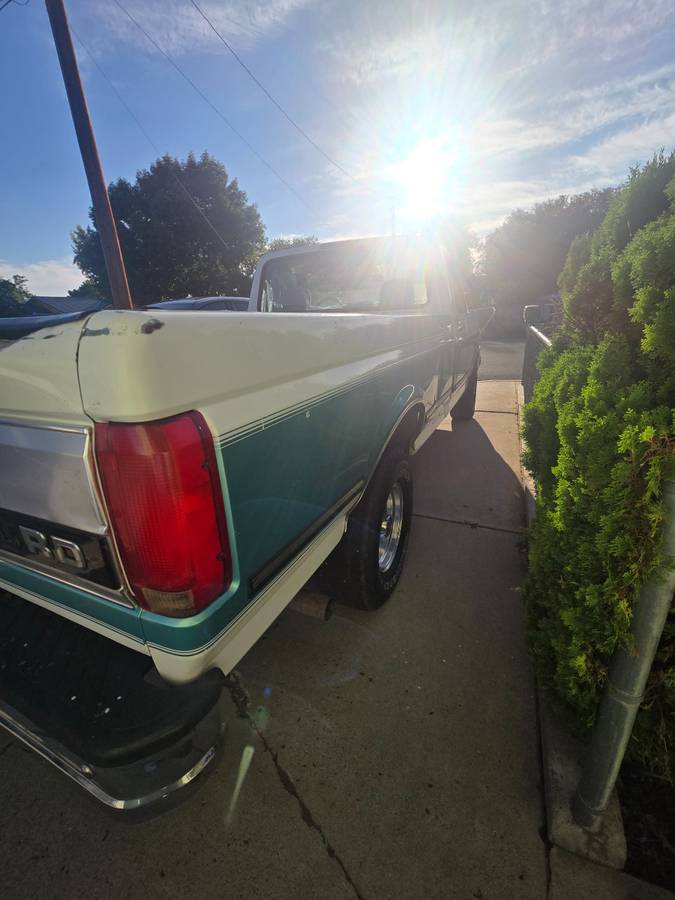 Ford-f150-4x4-1995-custom-17