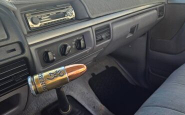 Ford-f150-4x4-1995-custom-21