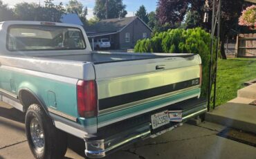 Ford-f150-4x4-1995-custom