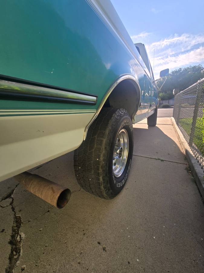 Ford-f150-4x4-1995-custom-6