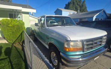 Ford-f150-4x4-1995-custom-7