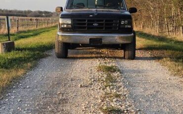 Ford-f150-regular-cab-xl-pickup-1994-black-9