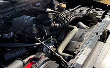 Ford-f150-super-cab-1993-black-16