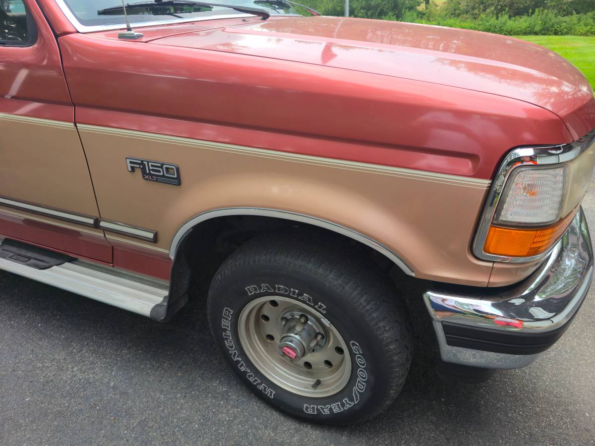 Ford-f150-super-cab-1994-brown-3