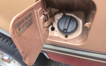 Ford-f150-super-cab-1994-brown-4