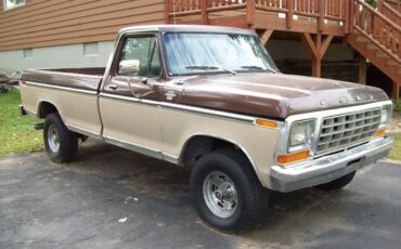 Ford-f150-xlt-4x4-1978-brown-2