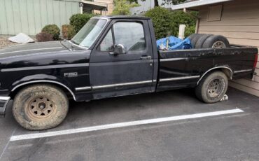 Ford-f150-xlt-heavy-duty-1994-blue-2