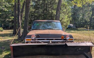 Ford-f250-1977-brown-2