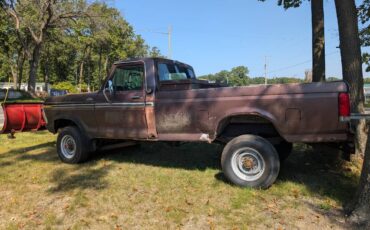 Ford-f250-1977-brown-4