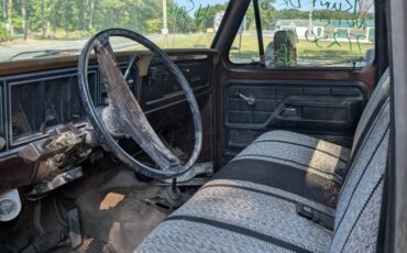 Ford-f250-1977-brown-6