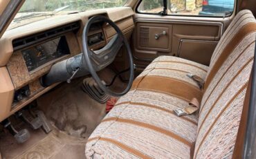 Ford-f250-1986-brown-3