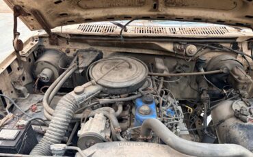 Ford-f250-1986-brown-4
