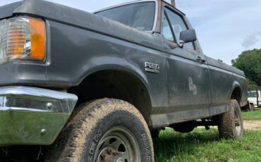 Ford-f250-1988-grey