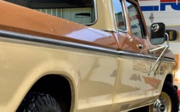 Ford-f250-camper-special-1976-brown