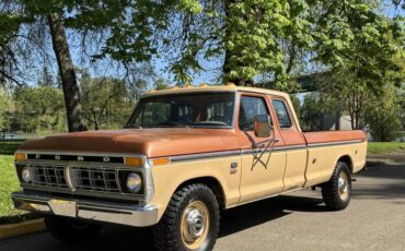 Ford-f250-camper-special-1976-brown-5