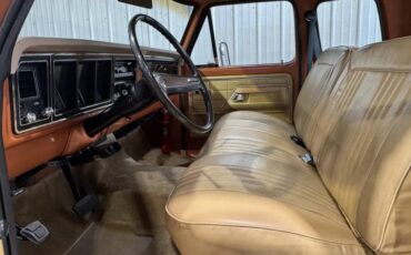 Ford-f250-camper-special-1976-brown-7