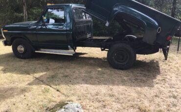 Ford-f250-custom-1978-green-8