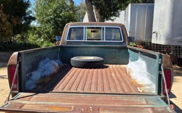 Ford-f250-single-cab-pickup-1978-4