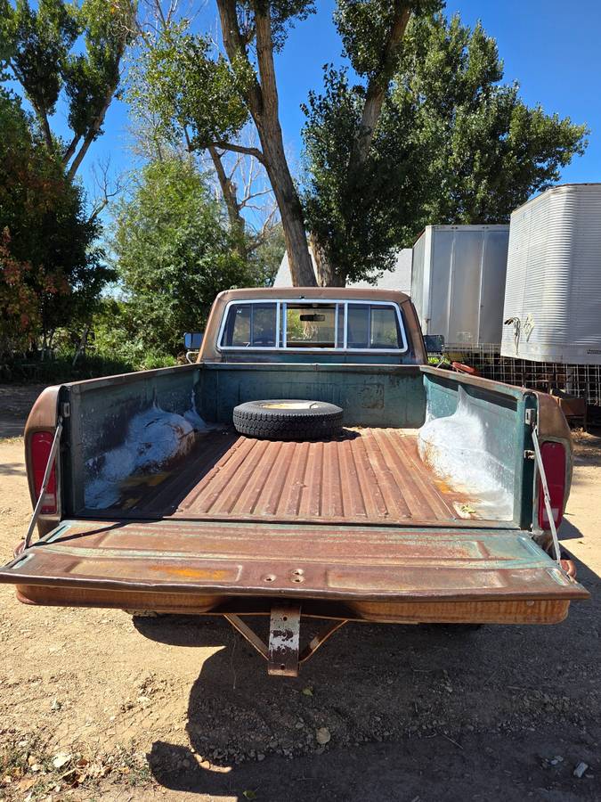 Ford-f250-single-cab-pickup-1978-4