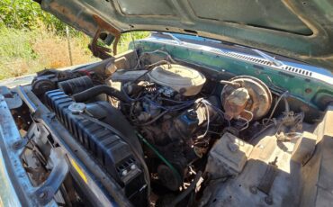 Ford-f250-single-cab-pickup-1978-6