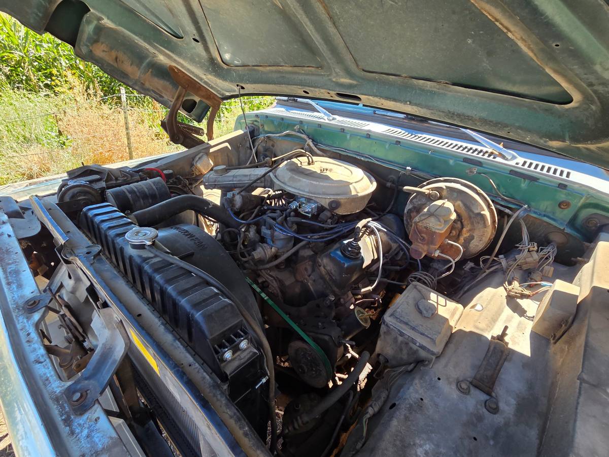 Ford-f250-single-cab-pickup-1978-6