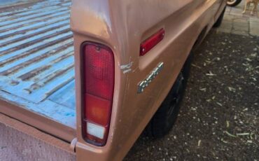 Ford-f250-super-duty-1974-brown-10