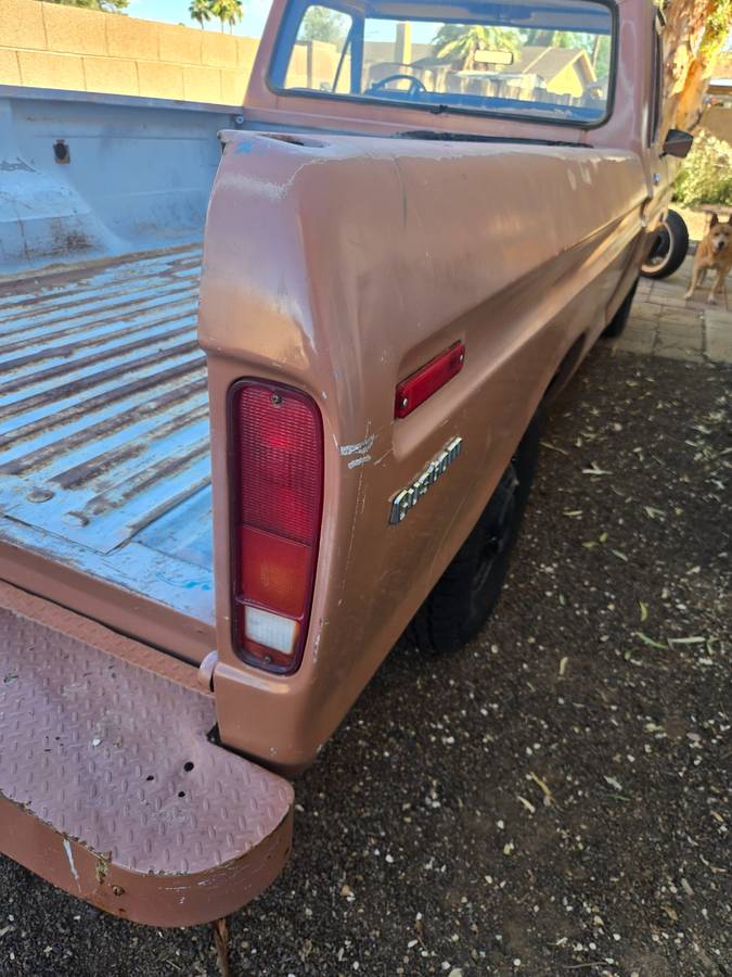 Ford-f250-super-duty-1974-brown-10